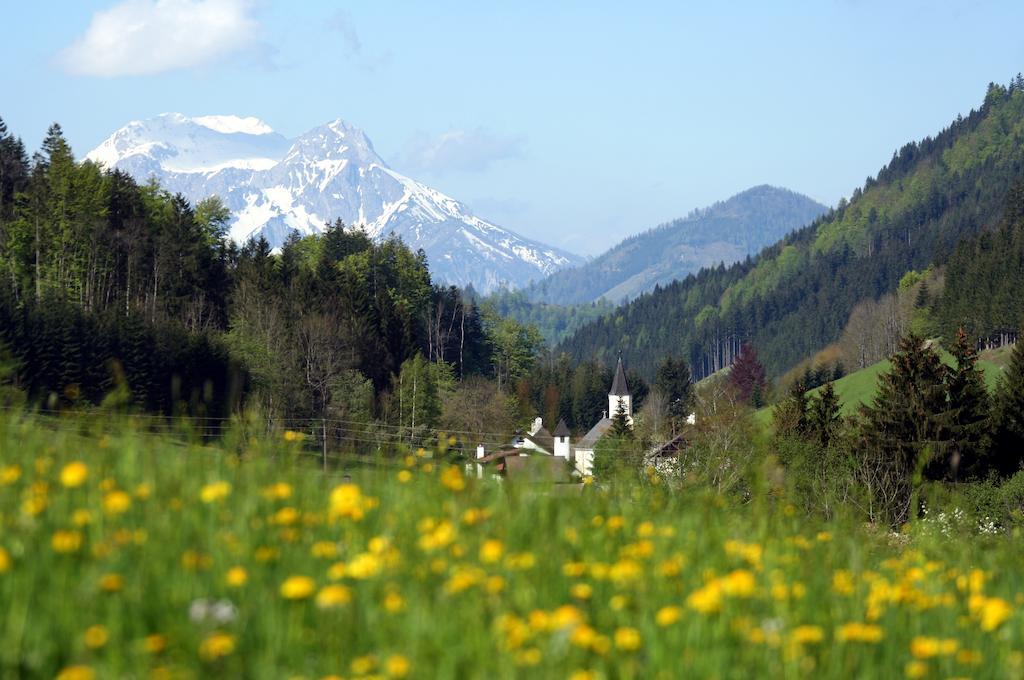 Alpenhotel Ensmann Lassing  Екстер'єр фото